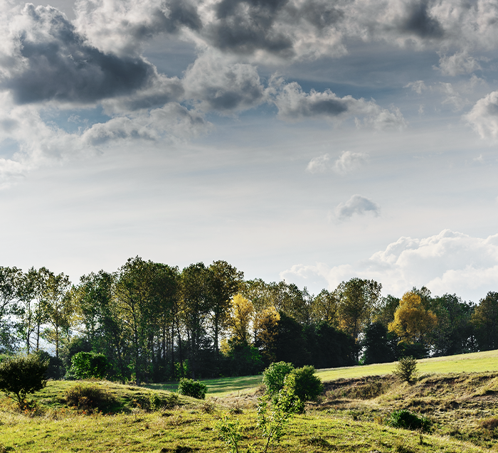 Consulta oftalmológica de alta especialidad
